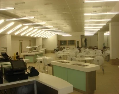 Project Zest, Terminal 5, Heathrow Airport - Image 4